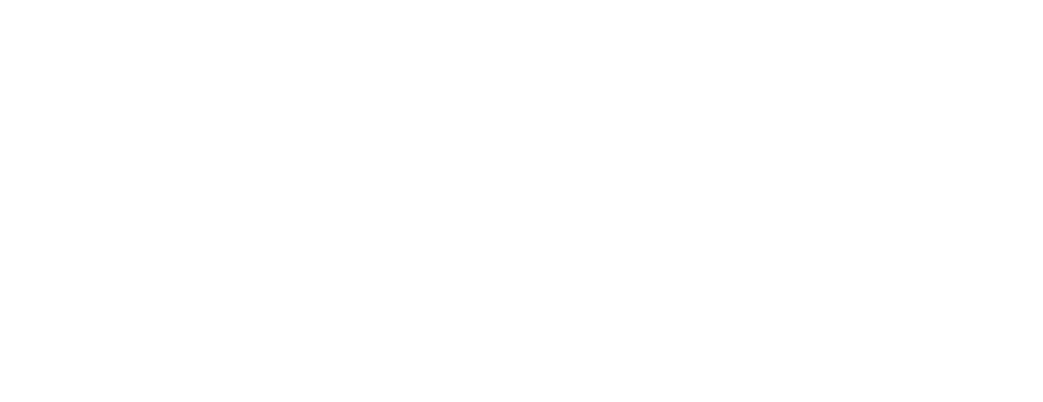 ValueOptions